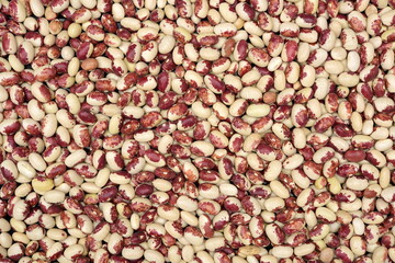 Dry beans on white background 