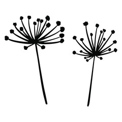 Monochrome vector silhouettes of two abstract, stylized dandelion flowers on a white background. Beautiful black wildflowers floral isolated elements for print, textile, decoration.