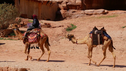 Kamelkarawane mit Beduine