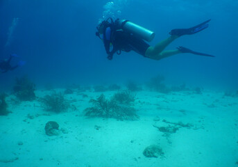                             scuba diver , caribbean sea , Aruba Island 