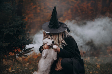 Siberian husky in a witch hat white smoke  © Olga