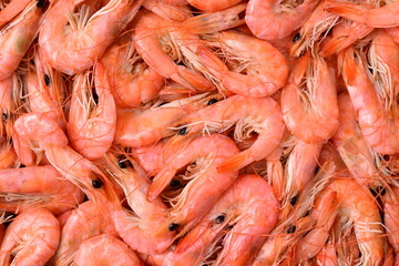 fresh shrimps on the market