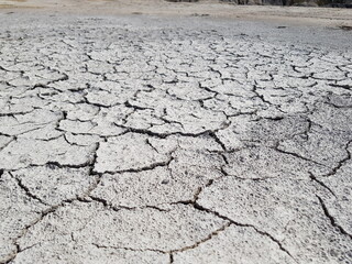 dry cracked earth