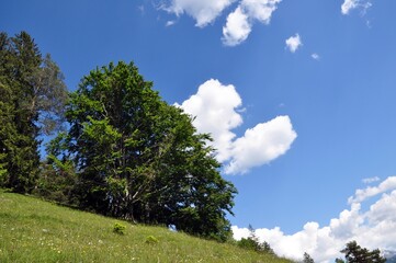 Obraz premium Ramsau im Berchtesgadener Land