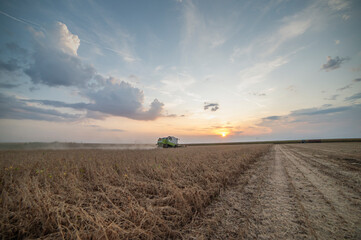 Harvesting of soybean