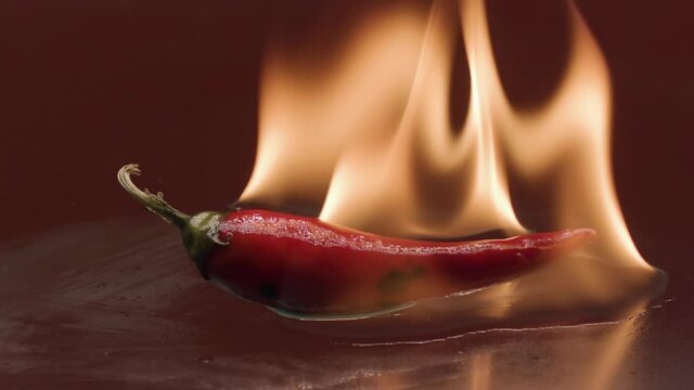 Close up of red hot chili pepper in fire flame isolated on red background. Stock footage. Concept of vegetarian food cooking.