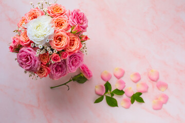pale pink color roses and petals on the floor