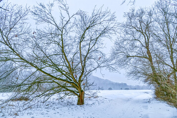 Fototapeta na wymiar Verschneite Winterlandschaft in der Heisinger Aue in Essen