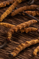 Food Ingredients : Some Chinese Caterpillar Fungus On The Table	