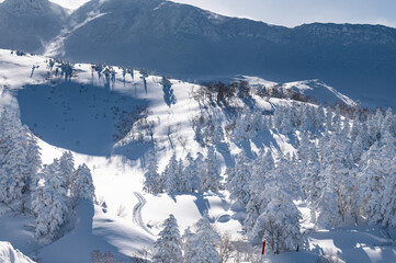 十勝連峰モンスターの住む雪山
