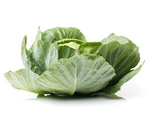 Obraz premium cabbage isolated on white background
