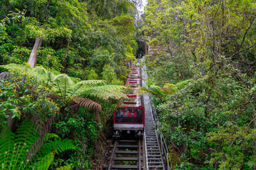 Scenic Railway at the Blue Mountains, Sydney Australia. World heritage Blue mountains with Scenic...