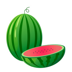 Watermelon and slice. Vector illustration