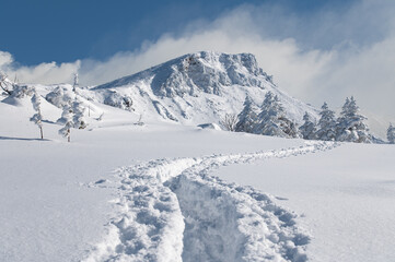 十勝連峰モンスターの住む雪山