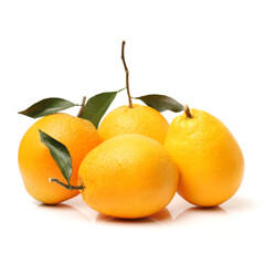 Orange fruit on the white background 