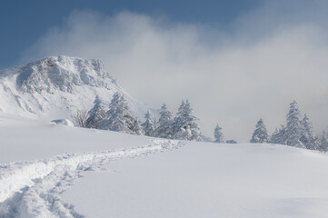 Fototapeta na wymiar モンスターの住む雪山