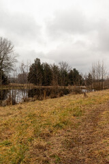 lake in the countryside