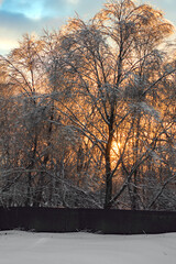 sunset in winter