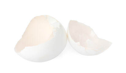 Egg shells on white background. Composting of organic waste