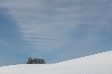 冬美瑛薄雲かかる丘