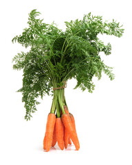 bunch of carrots isolated