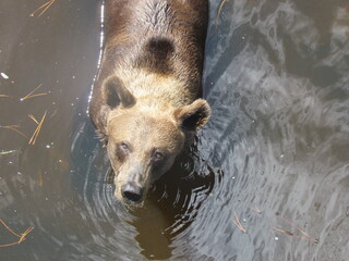 ours