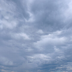 Fototapeta premium Pre-storm Cumulus clouds. Evening sky before the rain.