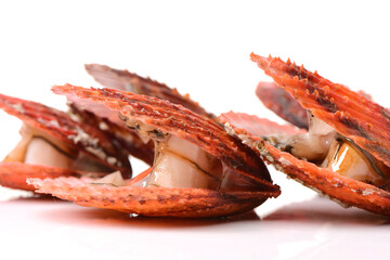Raw scallop on white background 