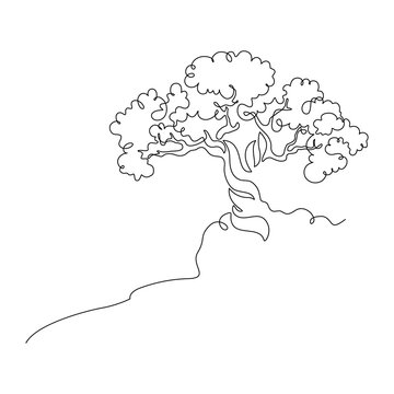 Tree in continuous line art drawing style. Old tree with twisted trunk is growing on the rocky slope. Black linear design isolated on white background. Vector illustration