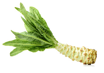Naklejka premium Asparagus lettuce on white background 