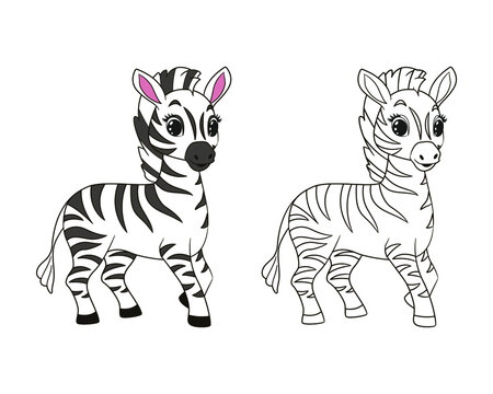 Little funny zebra coloring for kids. Vector illustration in cartoon style, isolated line art