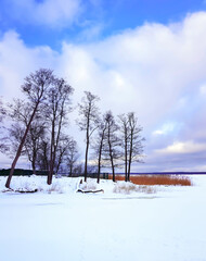 Panorama of a snow-covered forest by the lake in Riga, Latvia