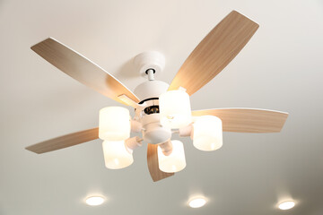 Modern ceiling fan with lamps indoors, below view