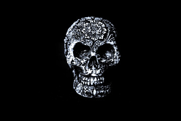 False bone skull on black background