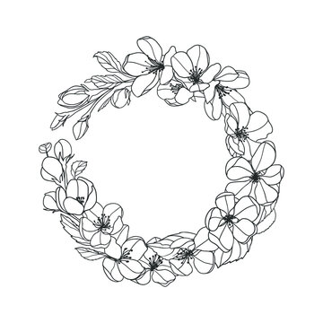  Vector wreath of apple tree flowers. Black and white linear illustration