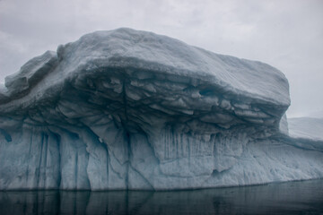 iceberg in arctic