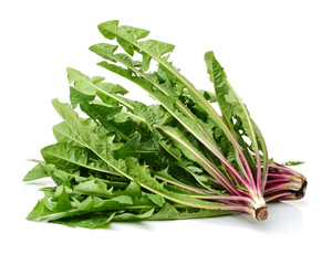 Dandelion, Dandelion Green, Leaf Vegetable on white background