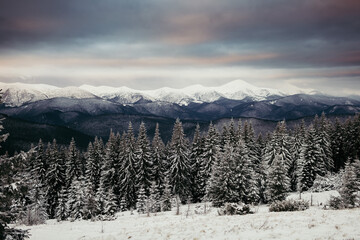 A person standing on top of a snow covered mountain