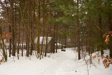 mały domek © Marcin Łazarczyk