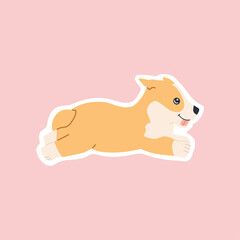 Breed corgi welsh running sticker, kawaii funny little dog, cute face. Friendly playful little puppy character. Hand drawn trendy modern illustration in flat cartoon style, isolated on pink background