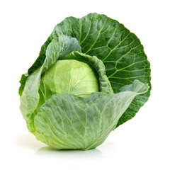 cabbage isolated on white background