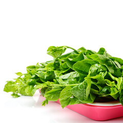 Thai malabar isolated on white background