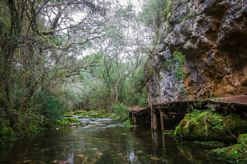 River in the forest of Beselga, Portugal. Forest with moss covered rocks and trees with river stream