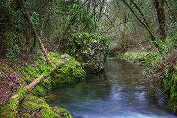River in the forest of Beselga, Portugal. Forest with moss covered rocks and trees with river stream