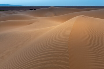 Sand dunes in Sahara desert, Tagounite, Morocco