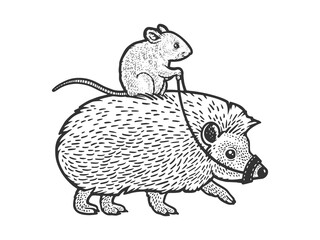 Mouse riding a hedgehog sketch engraving vector illustration. T-shirt apparel print design. Scratch board imitation. Black and white hand drawn image.
