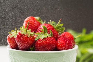 Strawberry and mint close up in studio