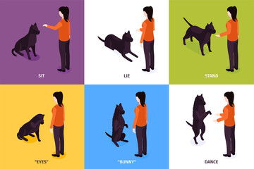 Dog Training Design Concept