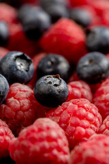 Blueberry and raspberry in studio