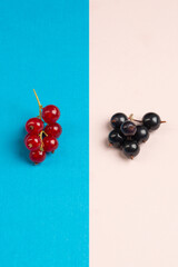 Black and red currant in studio